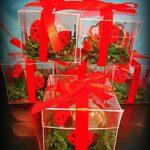 ΜΠΟΜΠΟΝΙΕΡΕΣ