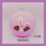 RABBIT HOLE ροζ pop